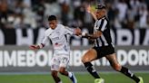 Junior - Botafogo : TV, horario y cómo ver online la Copa Libertadores