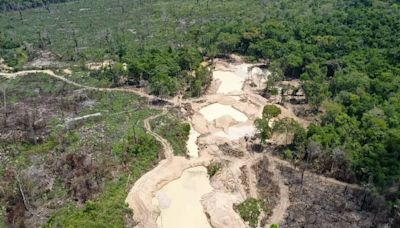 As boas e más notícias do desmatamento na Amazônia