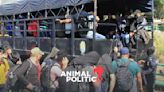 Denuncian secuestro de más de 200 migrantes en Chihuahua; es “mentira” dice Fiscalía
