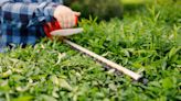 How to sharpen hedge trimmer blades: 5 easy steps