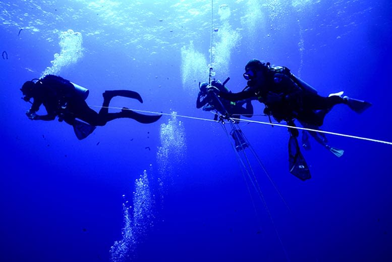 Survival at Extreme Depths: How Comb Jellies Defy Ocean Pressure