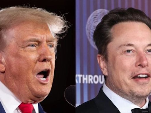 „Ich liebe Elon Musk“, sagt Donald Trump – mit den 45 Millionen Euro, die der Tesla-CEO ihm monatlich spenden will, habe das aber nichts zu tun