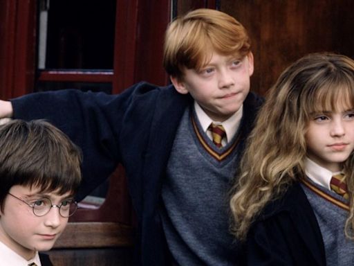 The Harry Potter casting call confirmed my worst fears