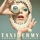 Taxidermy