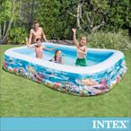 INTEX 海底世界長方型特大游泳池305x183x56cm(1020L)6歲+(58485)