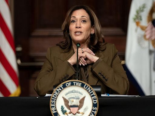 Kamala Harris faces racial 'DEI' attacks amid campaign for the 2024 presidency