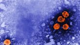 B肝病毒新發現！科學家破解聚合酶蛋白機制 根治有望 - 自由健康網