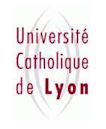 Catholic University of Lyon