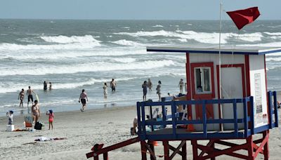 What do the different flags at the beach mean?