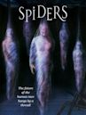 Spiders (film)