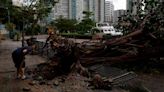 Typhoon Saola makes landfall in Guangdong after slamming Hong Kong, Macau
