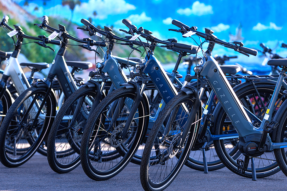 Minnesota state website promoting e-bike rebates crashes