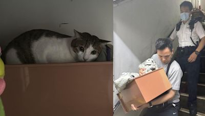 荃灣昌樂大廈火警 警員助疏散期間救出家貓 平安交回貓主