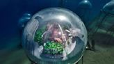 Jardín de Nemo: un invernadero que crece debajo del mar en Italia