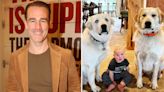 James Van Der Beek Shares Photo of Son Jeremiah, 13 Months, Sitting Between Family Dogs