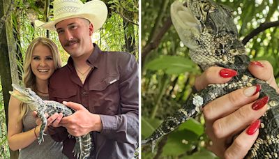 Love bites: Colorado woman sparkles over boyfriend's use of alligator in memorable proposal