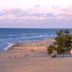 Indiana Dunes State Park