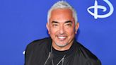 Cesar Millan Shares His "Formula for Success" for Dog Owners