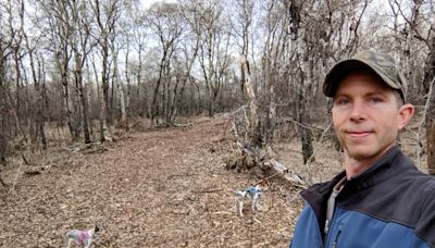 As tick season takes off in Sask., scientists monitor for new disease-carrying species