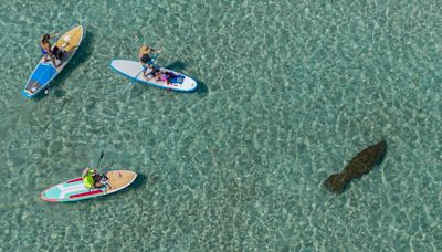 This Palm Beach County beach ranks No. 1 for clearest water. Where it is and what to know