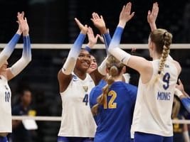 Pitt Volleyball earns first No. 1 AVCA Poll ranking in program history