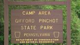 Woman pleads guilty in 2020 Gifford Pinchot State Park death