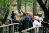 Magee Marsh Wildlife Area