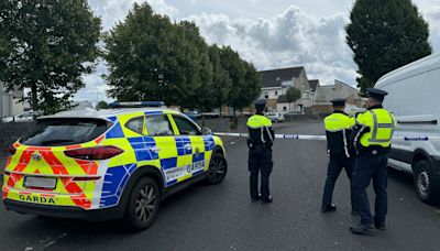 Man, 35, remains in custody over fatal Tallaght stabbing