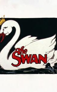 The Swan