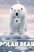 Polar Bear (film)