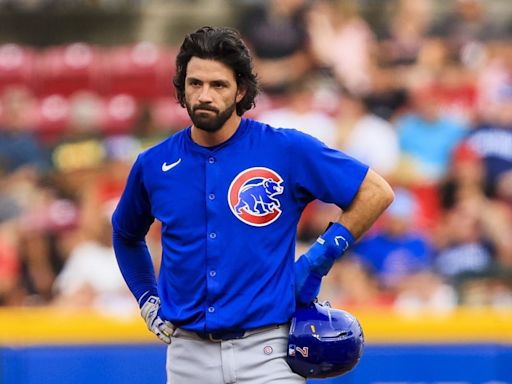 Dansby Swanson Showed Up to Wrigley Field in Full Support of USWNT