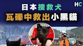 【日本地震】搜救犬瓦礫中救出小黑貓 「沒什麼比救出寶貴生命更令人振奮」