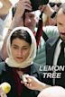 Lemon Tree (2008 film)