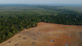 Painel S.A.: Obra em mina de potássio avança na Amazônia