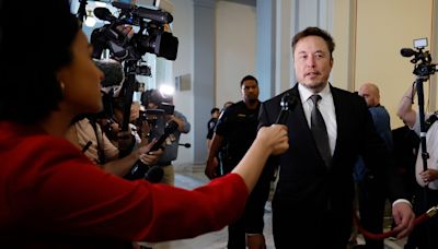 Elon Musk's ideas about government efficiency are all wrong, political scientists say