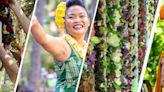 The 96th Lei Day Celebration kicks off in May