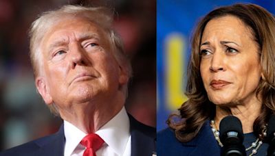 Trump is weaponizing the stock downturn to attack Kamala Harris