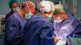 Los trasplantes en España aumentan un 10 % en los 6 primeros meses del año en comparación con el mismo periodo de 2023