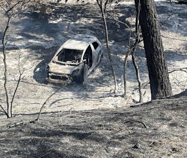 Massive Park fire sparked by man pushing burning car into a gully, officials say