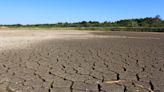 Drought is top threat for UK nature refuges as climate changes, charities warn