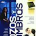 Los gozos y las sombras (TV series)