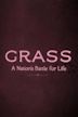 Grass (1925 film)