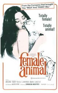 Female Animal