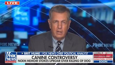 ‘Not Normal Behavior’: Fox’s Brit Hume Vexed by Kristi Noem’s Decision to Shoot Dog and Include in Book