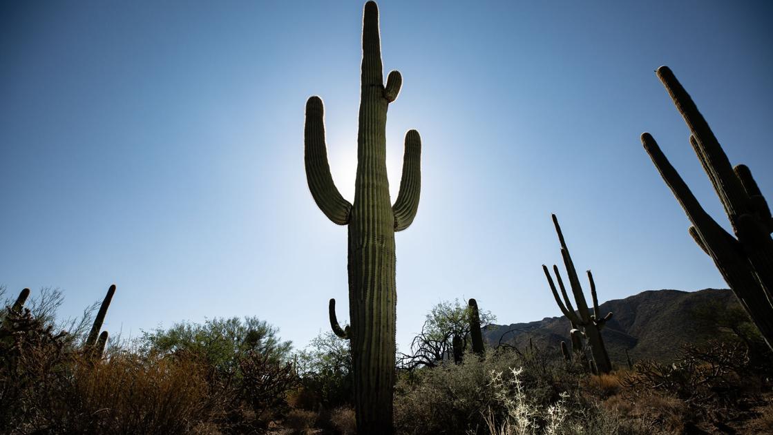 And so it begins, Tucson's 100-degree weather of 2024