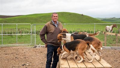 The Waikato Hunt moves its kennels to a new home near Tirau