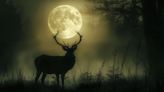 Luna de ciervo en Colombia: esta es la mejor hora para ver el fenómeno astronómico que deslumbrará en julio