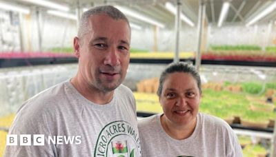 Agriculture: The Welsh vertical farmers growing food in garages