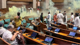 Four arrested after intruders spray coloured gas in Indian parliament chamber protest