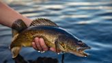 Fishing this spring? Sturgeon Bay named one of best spots in the U.S.